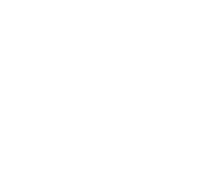 Falcon Technology