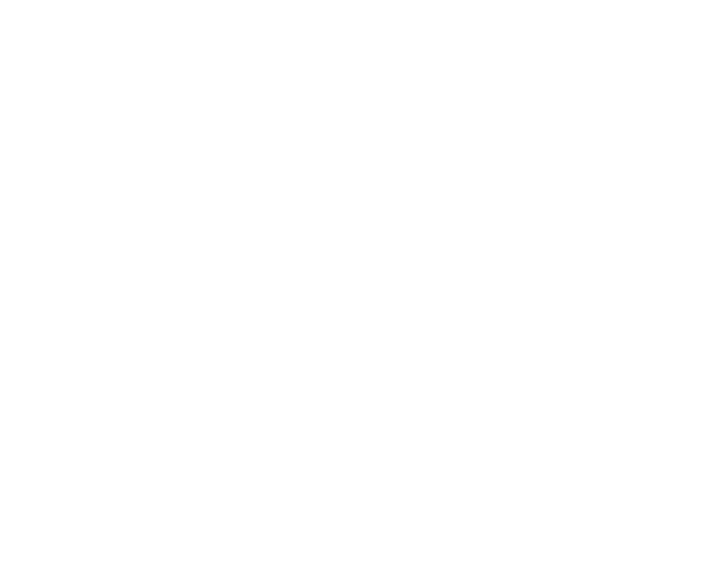 Carlsberg Group