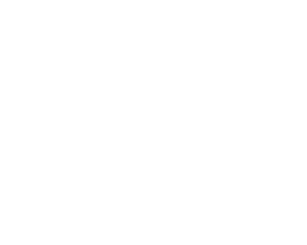 Trigon Inc